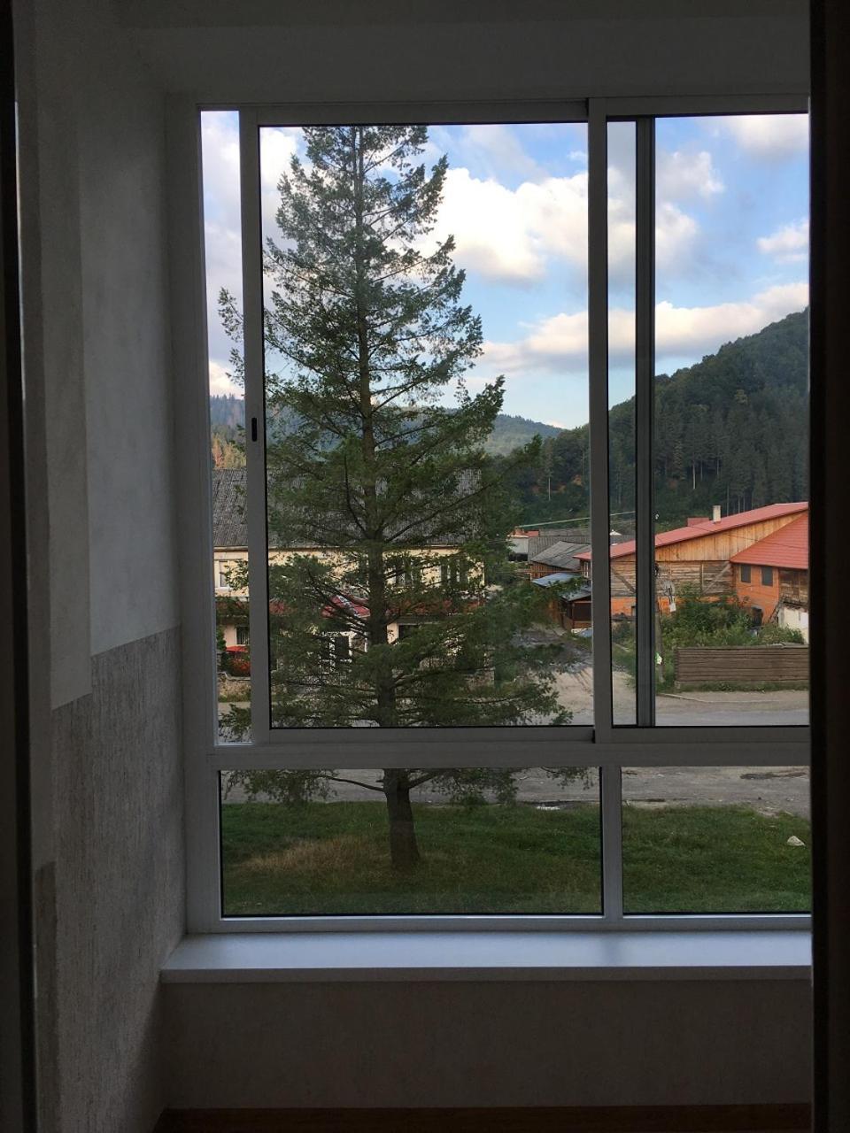 Apartaments In Karpaty Mizhhirya  Zewnętrze zdjęcie