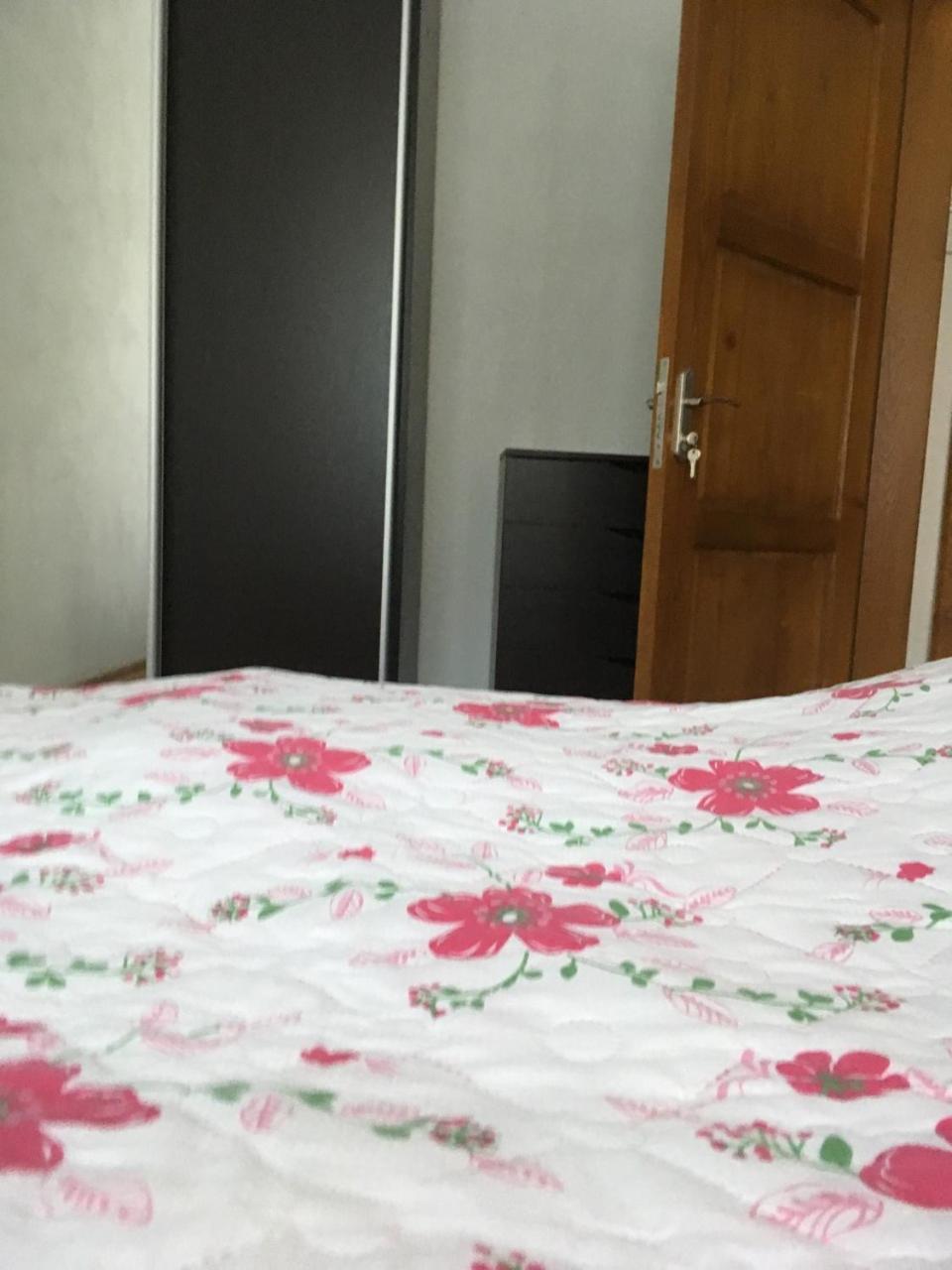 Apartaments In Karpaty Mizhhirya  Zewnętrze zdjęcie