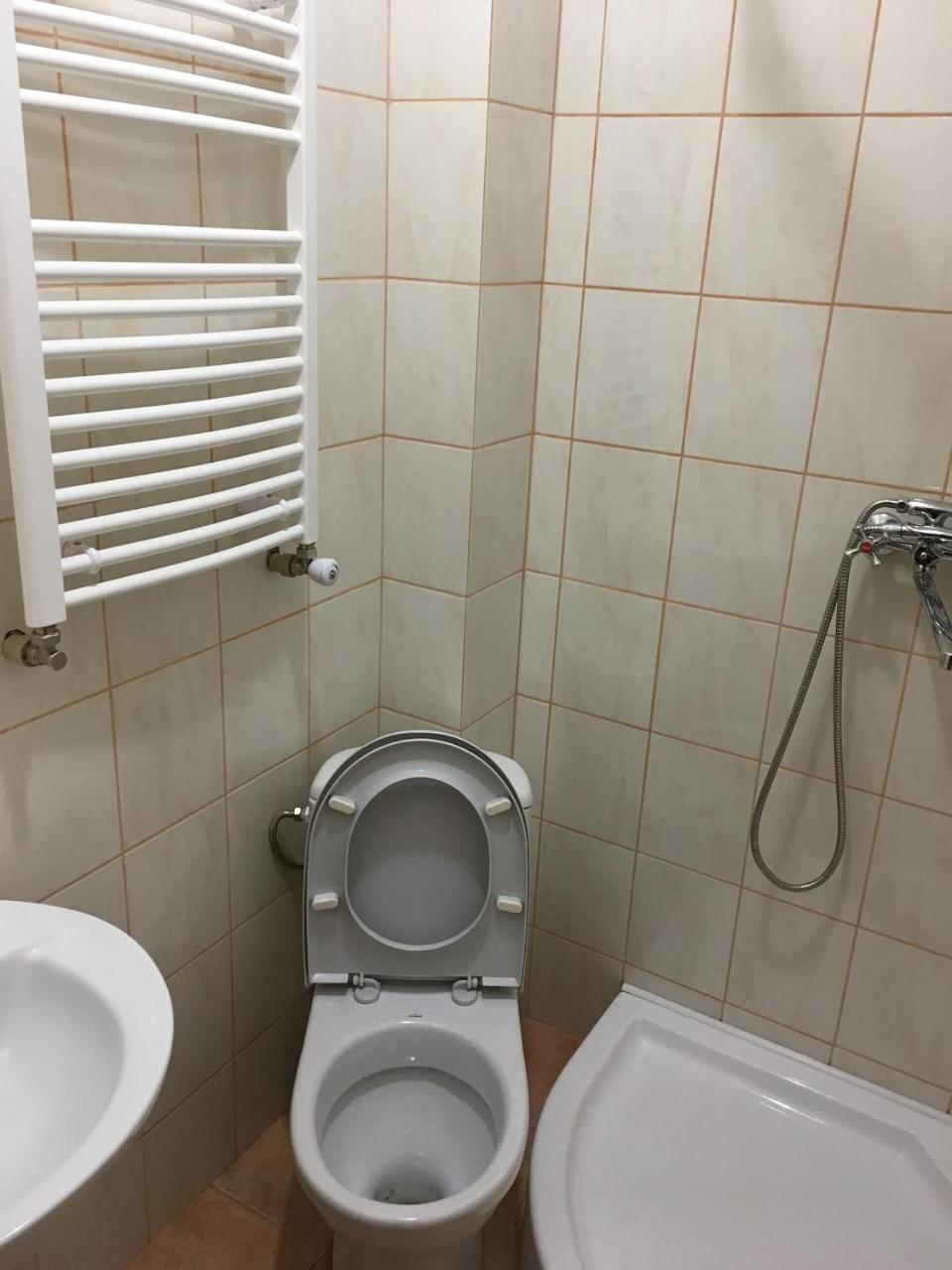 Apartaments In Karpaty Mizhhirya  Zewnętrze zdjęcie