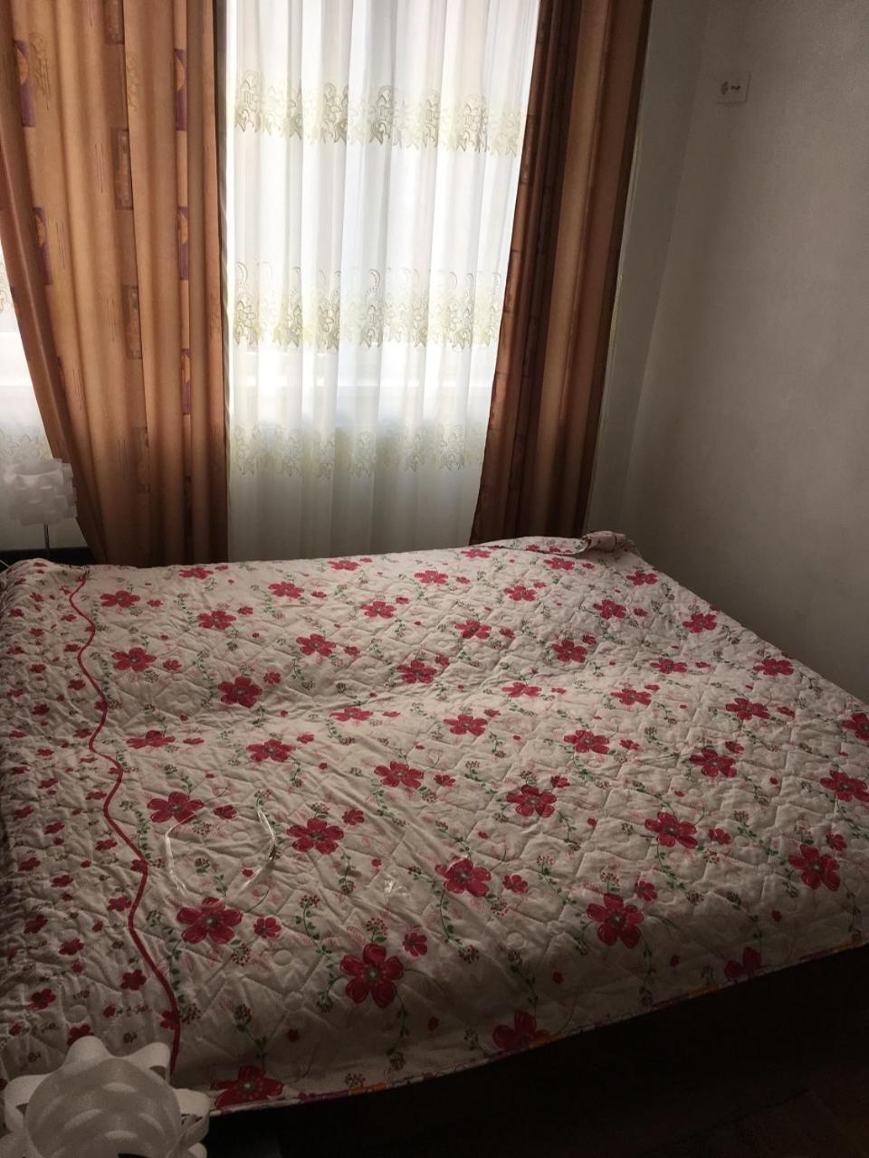 Apartaments In Karpaty Mizhhirya  Zewnętrze zdjęcie