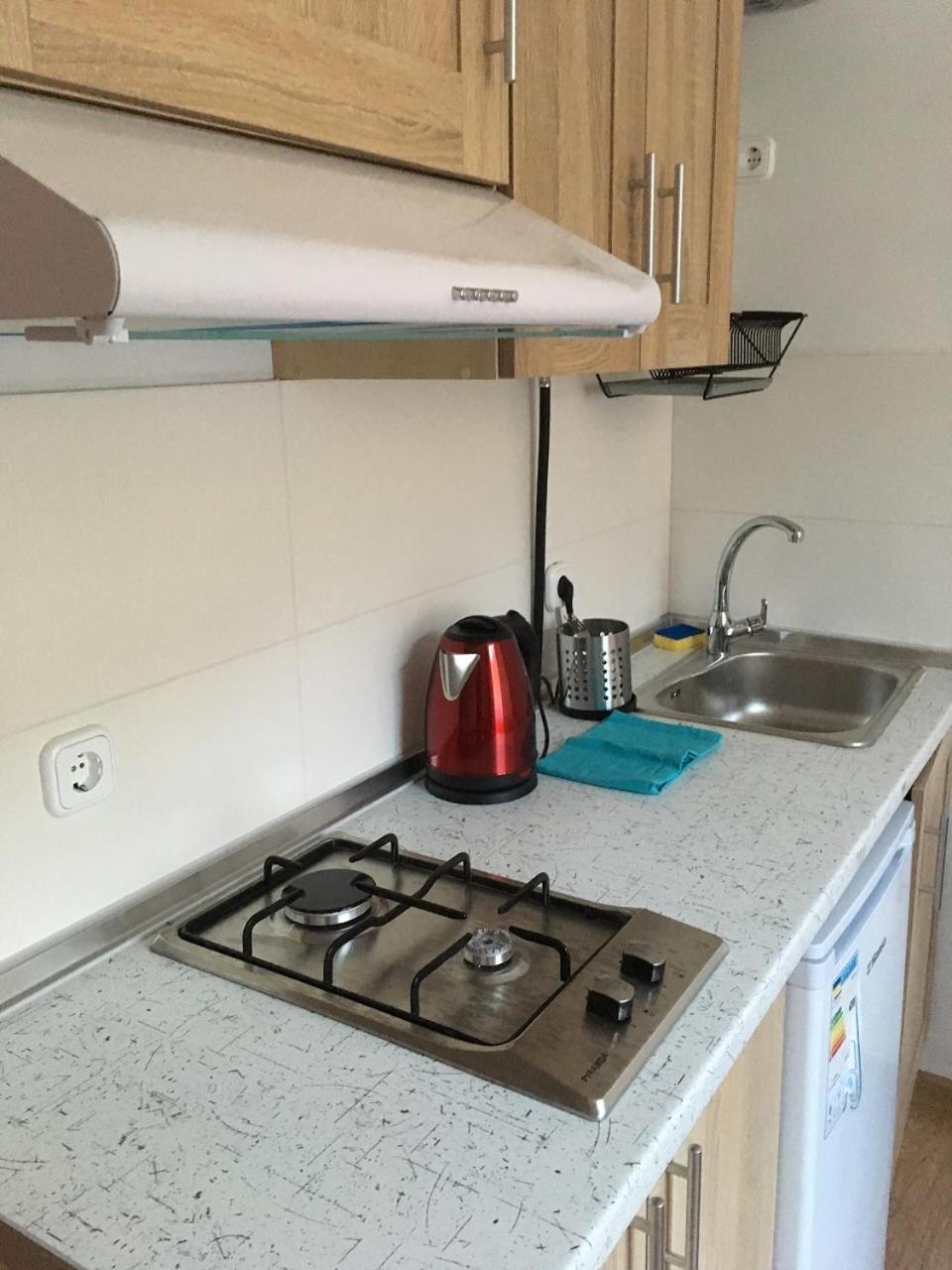 Apartaments In Karpaty Mizhhirya  Zewnętrze zdjęcie