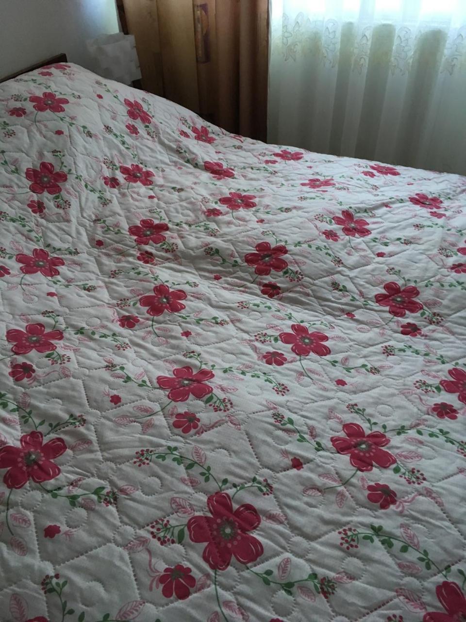Apartaments In Karpaty Mizhhirya  Zewnętrze zdjęcie