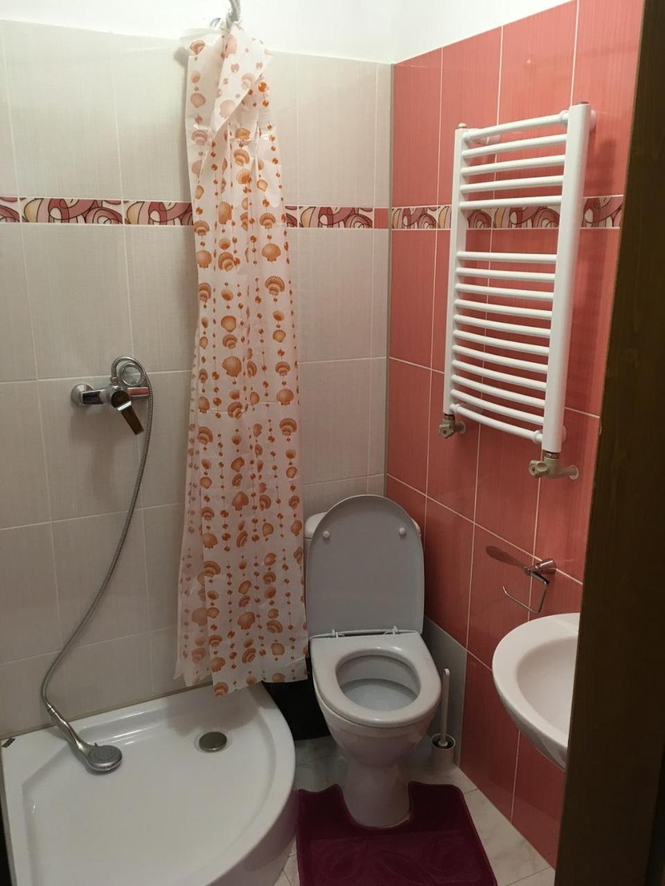 Apartaments In Karpaty Mizhhirya  Zewnętrze zdjęcie
